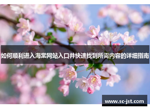 如何顺利进入海棠网站入口并快速找到所需内容的详细指南 如何顺利进入海棠网站入口并快速找到所需内容的详细指南