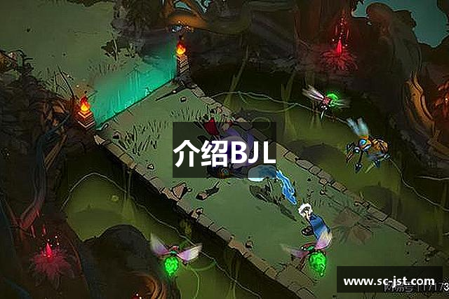 介绍BJL